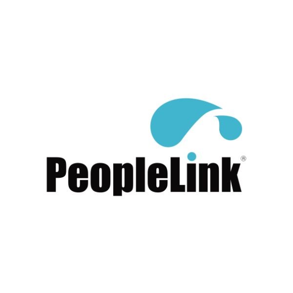 people link logo